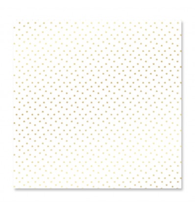 Vellum 12"x12"